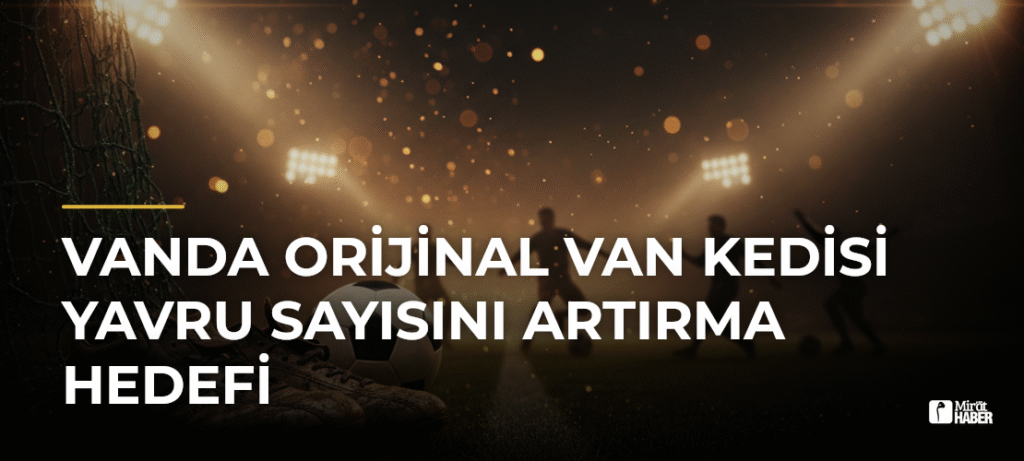 Vanda Orijinal Van Kedisi Yavru Sayısını Artırma Hedefi