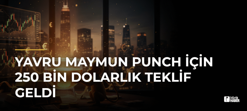 Yavru Maymun Punch İçin 250 Bin Dolarlık Teklif Geldi