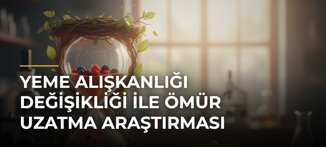 Yeme Alışkanlığı Değişikliği ile Ömür Uzatma Araştırması