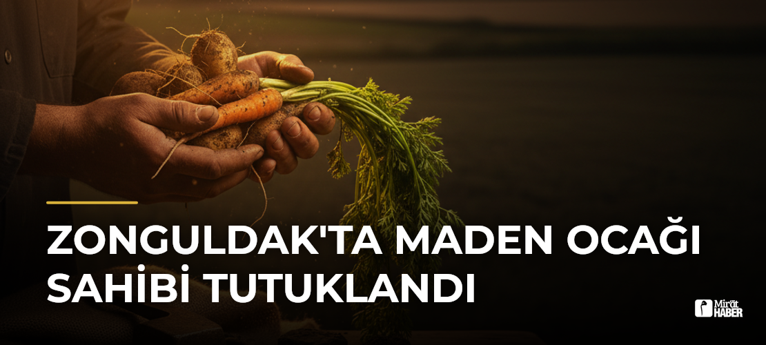 Zonguldak'ta Maden Ocağı Sahibi Tutuklandı