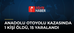 Anadolu Otoyolu Kazasında 1 Kişi Öldü, 15 Yaralandı