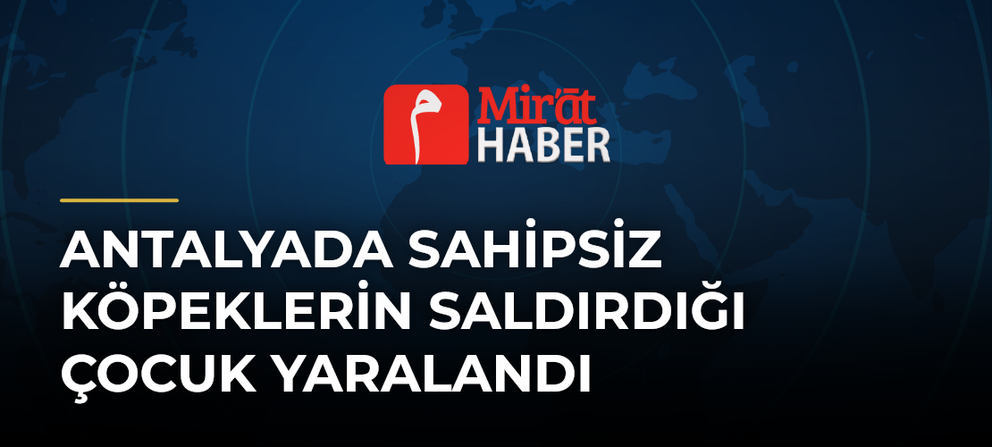 Antalyada Sahipsiz Köpeklerin Saldırdığı Çocuk Yaralandı