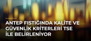 Antep Fıstığında Kalite ve Güvenlik Kriterleri TSE ile Belirleniyor