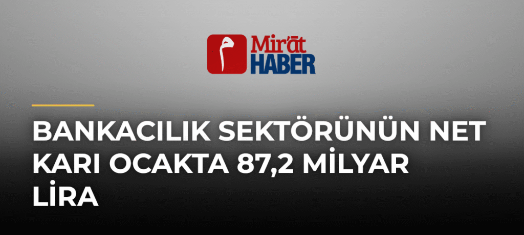 Bankacılık Sektörünün Net Karı Ocakta 87,2 Milyar Lira