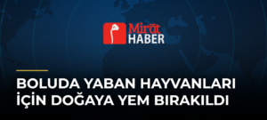 Boluda Yaban Hayvanları İçin Doğaya Yem Bırakıldı