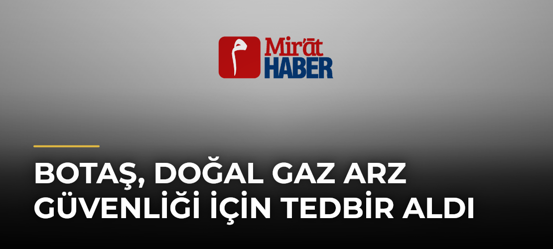 BOTAŞ, Doğal Gaz Arz Güvenliği İçin Tedbir Aldı
