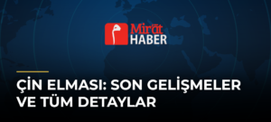 Çin Elması: Son Gelişmeler ve Tüm Detaylar