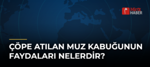 Çöpe Atılan Muz Kabuğunun Faydaları Nelerdir?