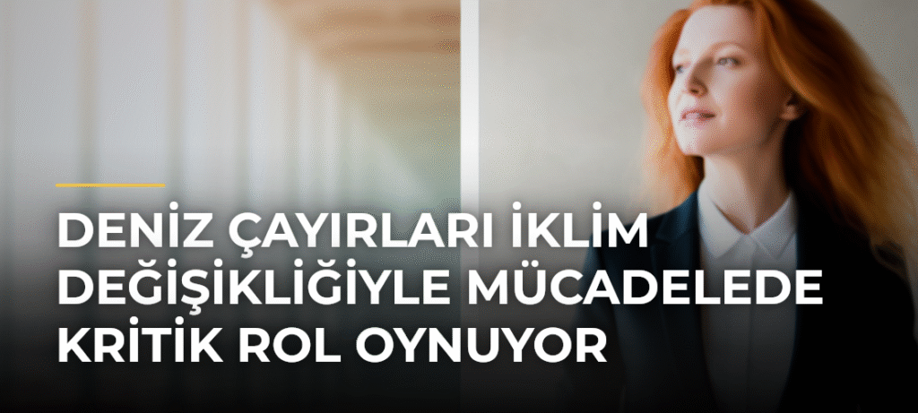 Deniz Çayırları İklim Değişikliğiyle Mücadelede Kritik Rol Oynuyor