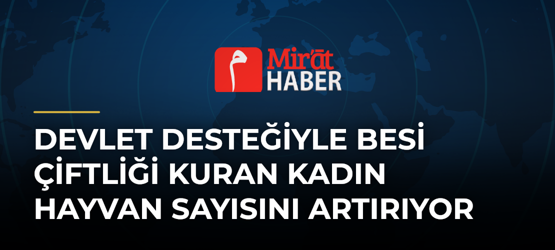 Devlet Desteğiyle Besi Çiftliği Kuran Kadın Hayvan Sayısını Artırıyor
