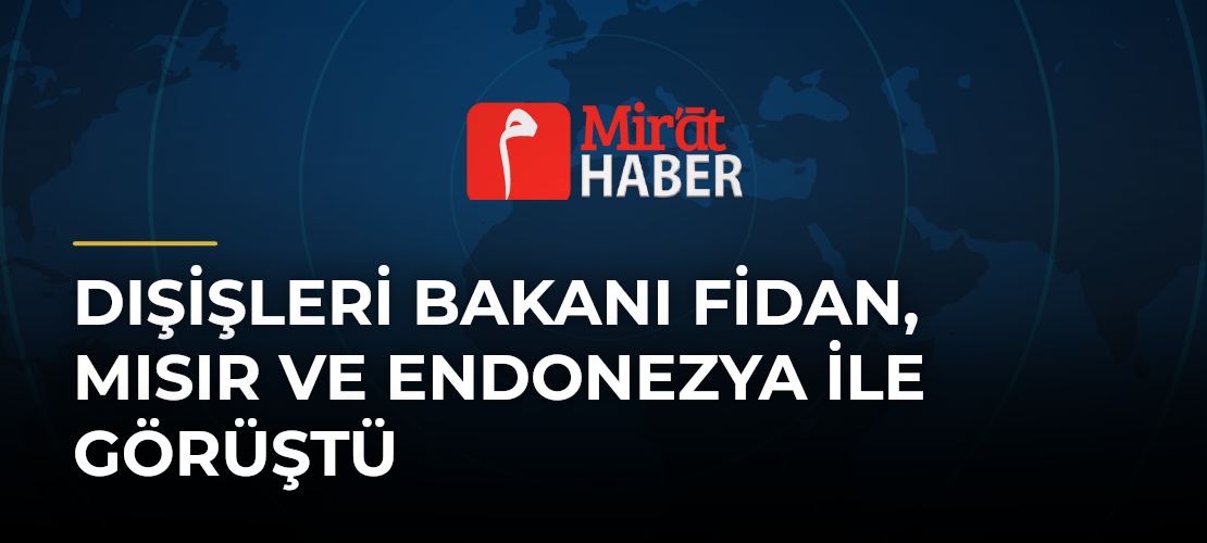 Dışişleri Bakanı Fidan, Mısır ve Endonezya ile Görüştü