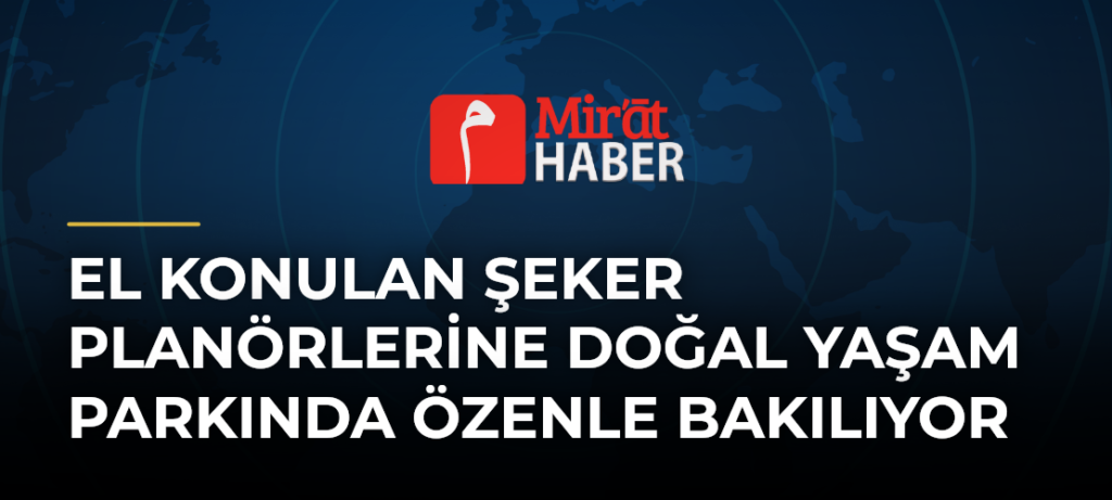 El Konulan Şeker Planörlerine Doğal Yaşam Parkında Özenle Bakılıyor