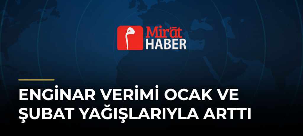 Enginar Verimi Ocak ve Şubat Yağışlarıyla Arttı