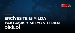 Erciyes’te 15 Yılda Yaklaşık 7 Milyon Fidan Dikildi