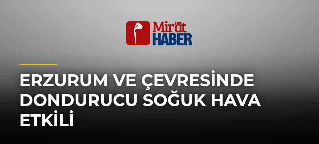 Erzurum ve Çevresinde Dondurucu Soğuk Hava Etkili