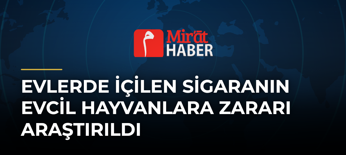 Evlerde İçilen Sigaranın Evcil Hayvanlara Zararı Araştırıldı