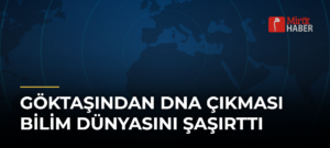 Göktaşından DNA Çıkması Bilim Dünyasını Şaşırttı