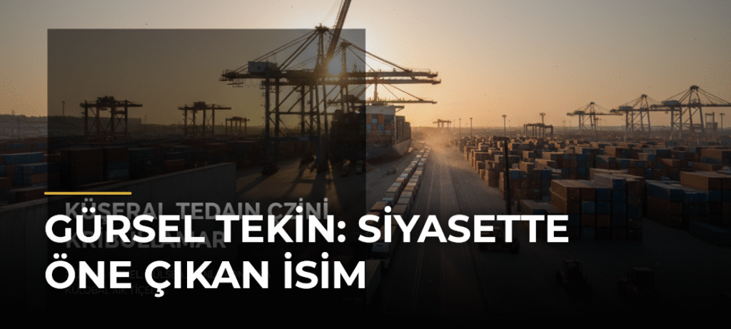 Gürsel Tekin: Siyasette Öne Çıkan İsim