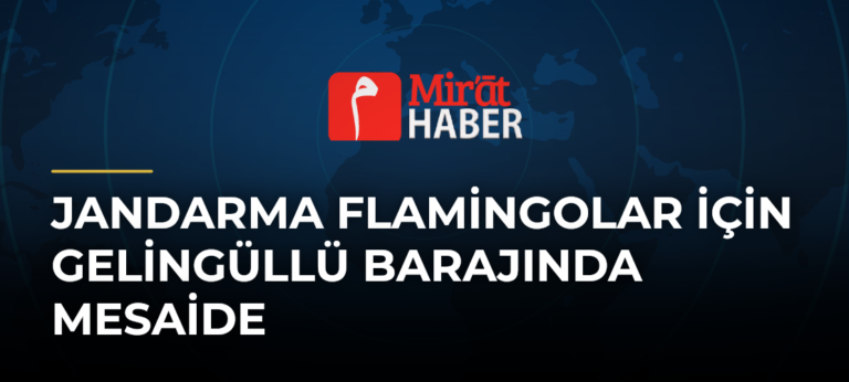 Jandarma Flamingolar İçin Gelingüllü Barajında Mesaide