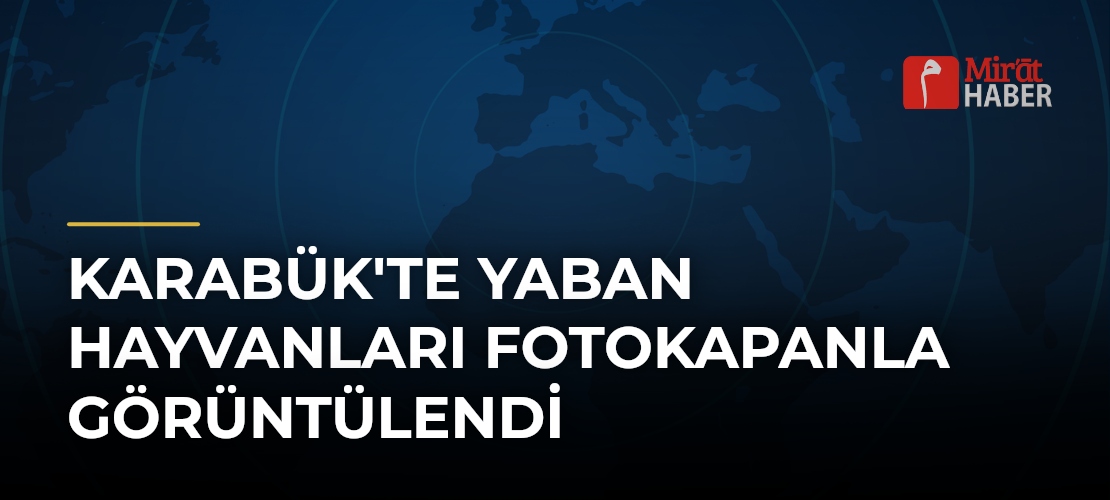 Karabük'te Yaban Hayvanları Fotokapanla Görüntülendi