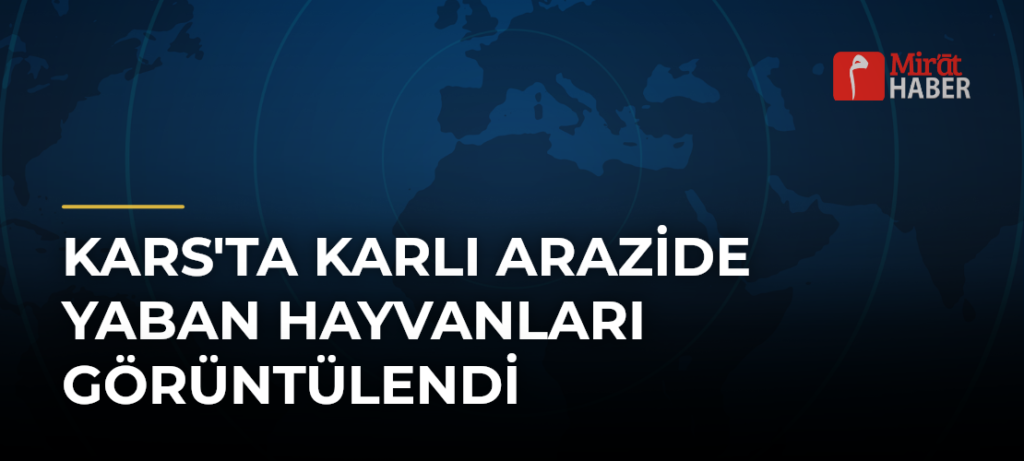 Kars’ta Karlı Arazide Yaban Hayvanları Görüntülendi