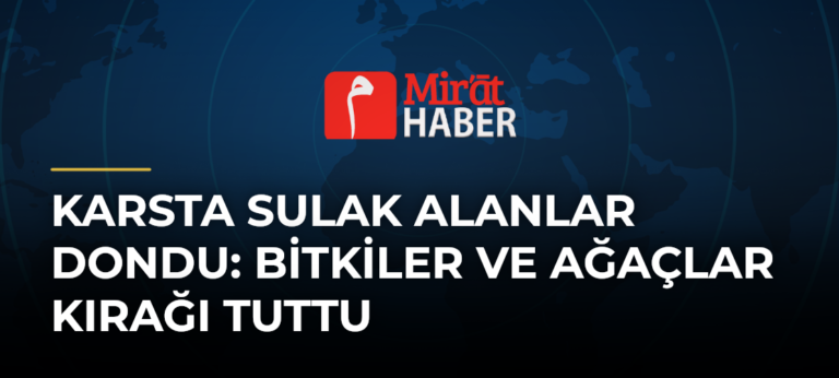 Karsta Sulak Alanlar Dondu: Bitkiler ve Ağaçlar Kırağı Tuttu