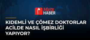 Kıdemli ve Çömez Doktorlar Acilde Nasıl İşbirliği Yapıyor?
