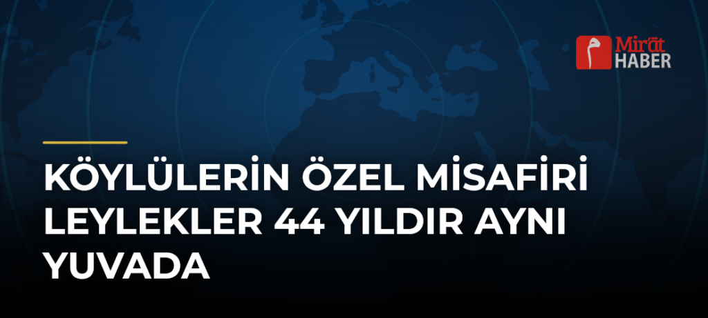 Köylülerin Özel Misafiri Leylekler 44 Yıldır Aynı Yuvada