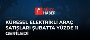 Küresel Elektrikli Araç Satışları Şubatta Yüzde 11 Geriledi