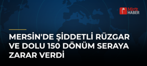 Mersin’de Şiddetli Rüzgar ve Dolu 150 Dönüm Seraya Zarar Verdi