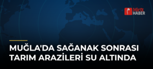 Muğla’da Sağanak Sonrası Tarım Arazileri Su Altında