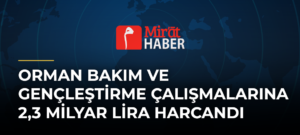 Orman Bakım ve Gençleştirme Çalışmalarına 2,3 Milyar Lira Harcandı