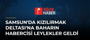 Samsun’da Kızılırmak Deltası’na Baharın Habercisi Leylekler Geldi