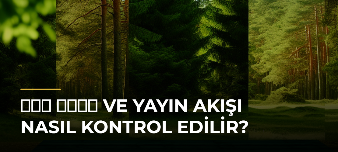 شبکه خبر ve Yayın Akışı Nasıl Kontrol Edilir?