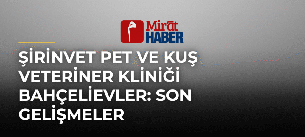 Şirinvet Pet ve Kuş Veteriner Kliniği Bahçelievler: Son Gelişmeler