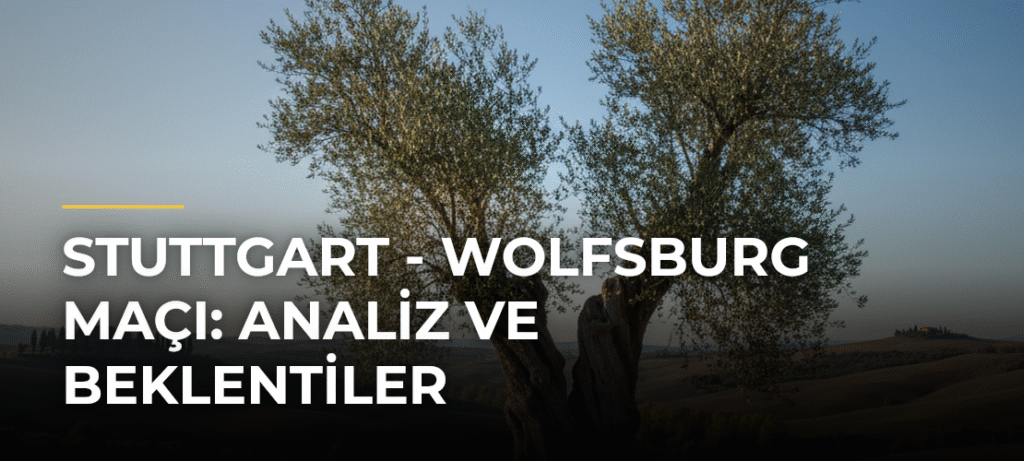 Stuttgart – Wolfsburg Maçı: Analiz ve Beklentiler