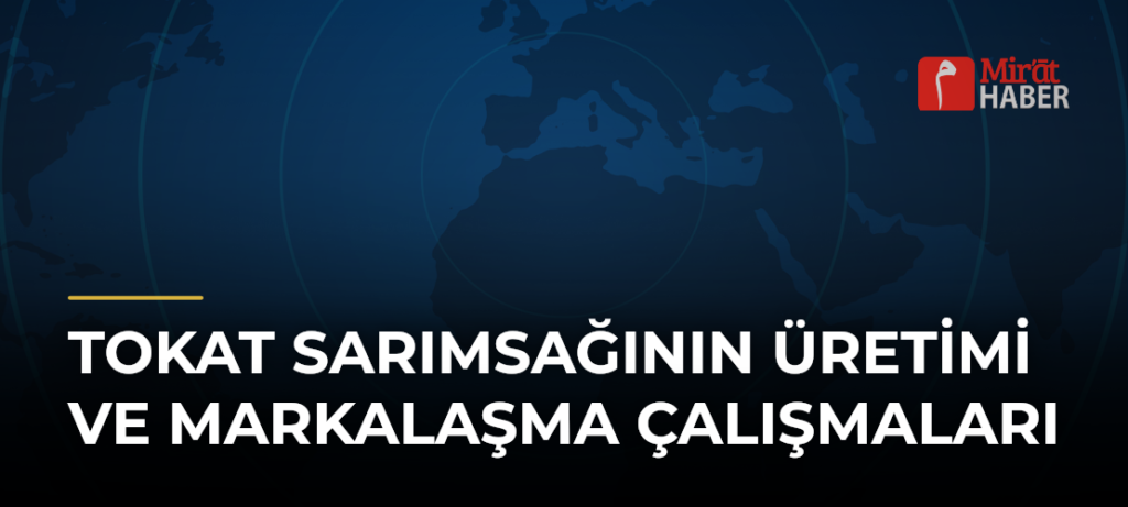 Tokat Sarımsağının Üretimi ve Markalaşma Çalışmaları