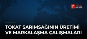 Tokat Sarımsağının Üretimi ve Markalaşma Çalışmaları