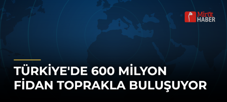 Türkiye’de 600 Milyon Fidan Toprakla Buluşuyor