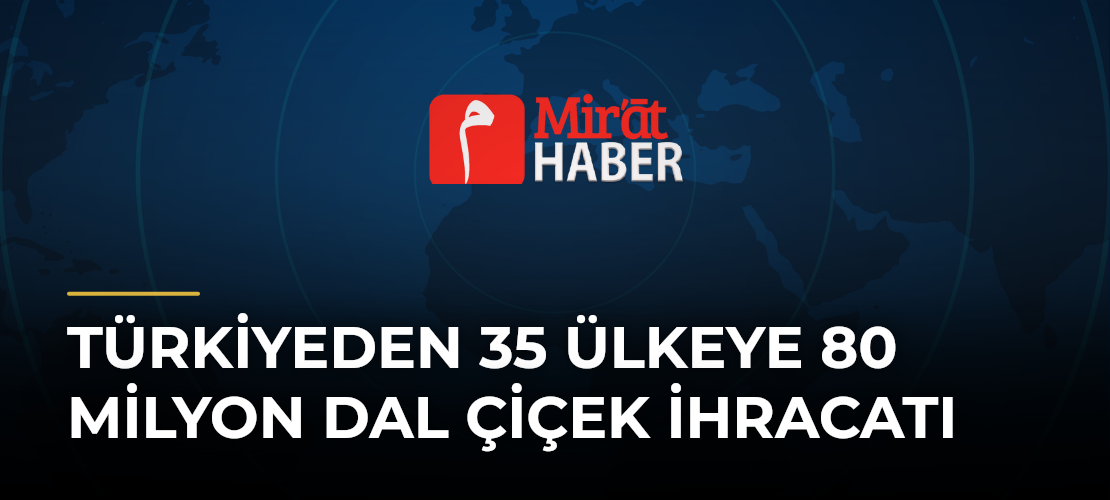 Türkiyeden 35 Ülkeye 80 Milyon Dal Çiçek İhracatı