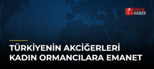 Türkiyenin Akciğerleri Kadın Ormancılara Emanet