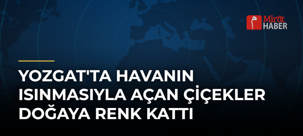 Yozgat’ta Havanın Isınmasıyla Açan Çiçekler Doğaya Renk Kattı