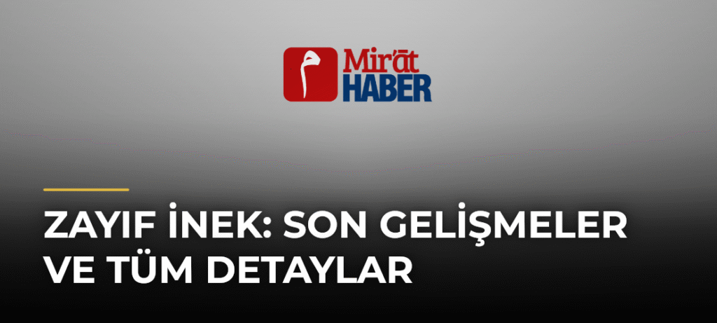 Zayıf İnek: Son Gelişmeler ve Tüm Detaylar