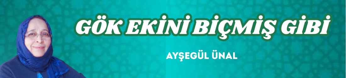 GÖK EKİNİ BİÇMİŞ GİBİ