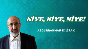 NİYE, NİYE, NİYE!