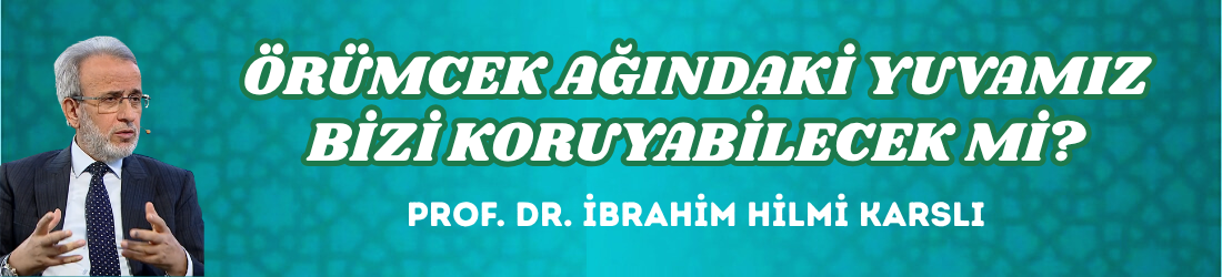 ÖRÜMCEK AĞINDAKİ YUVAMIZ BİZİ KORUYABİLECEK Mİ?