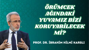 ÖRÜMCEK AĞINDAKİ YUVAMIZ BİZİ KORUYABİLECEK Mİ?