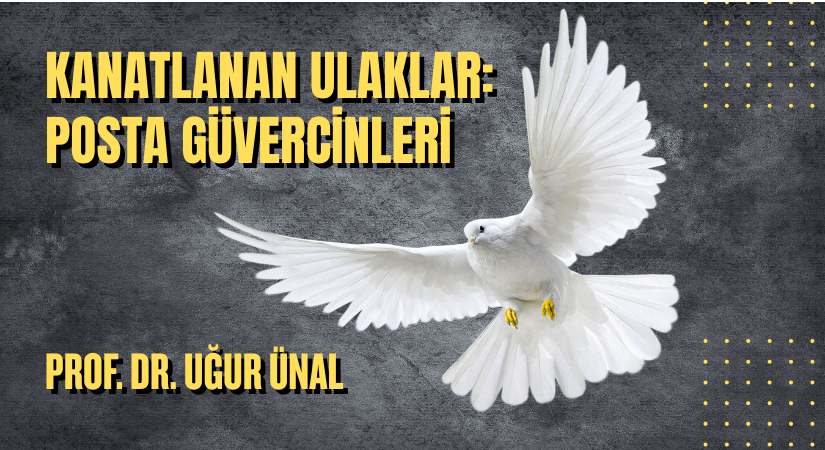 KANATLANAN ULAKLAR: POSTA GÜVERCİNLERİ