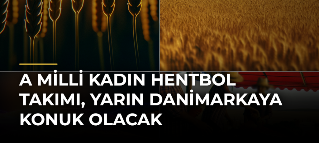 A Milli Kadın Hentbol Takımı, yarın Danimarkaya konuk olacak