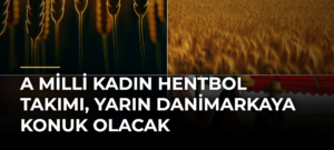 A Milli Kadın Hentbol Takımı, yarın Danimarkaya konuk olacak